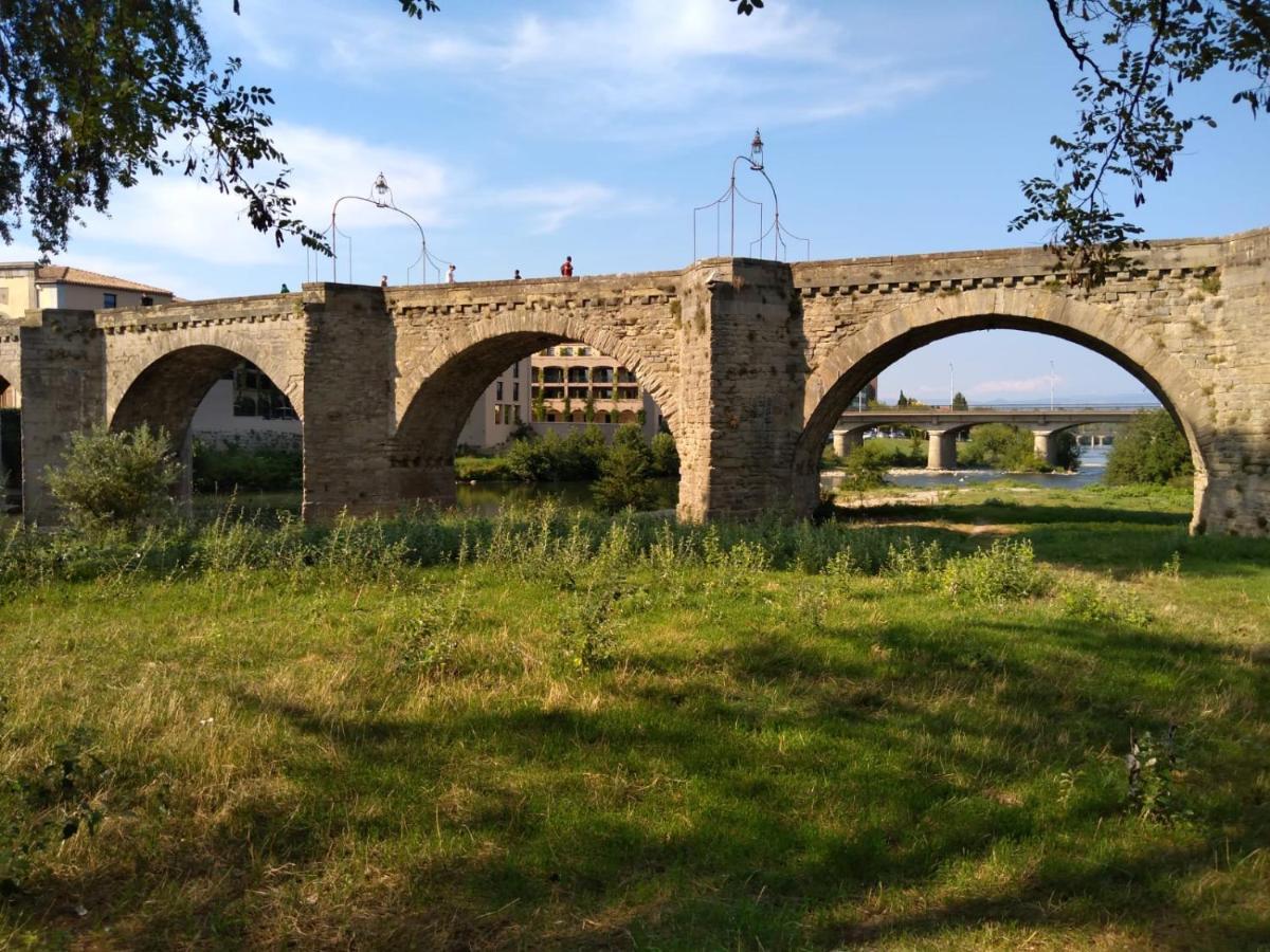 Carcassonne T3 Residentiel Rez De Jardin Piscine, Wifi, Tennis, Fitness Apartment Екстериор снимка