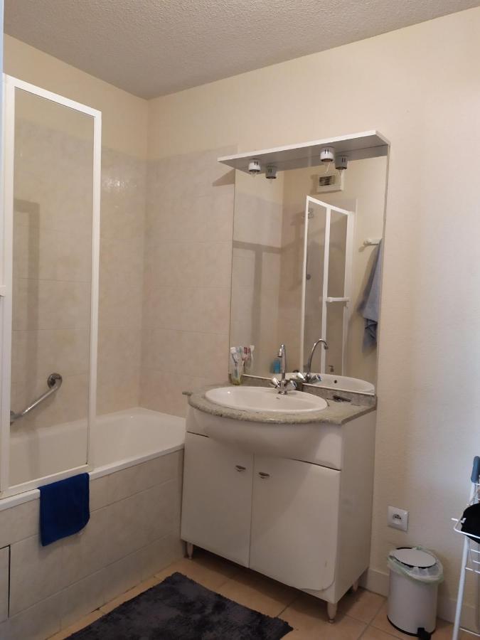 Carcassonne T3 Residentiel Rez De Jardin Piscine, Wifi, Tennis, Fitness Apartment Екстериор снимка